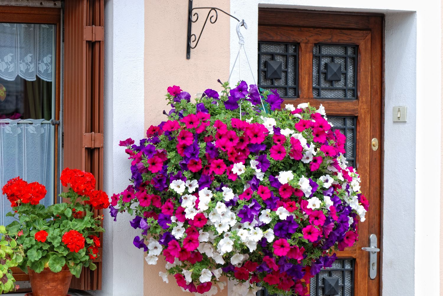 Die schönsten Hängepflanzen für den Balkon Plantura