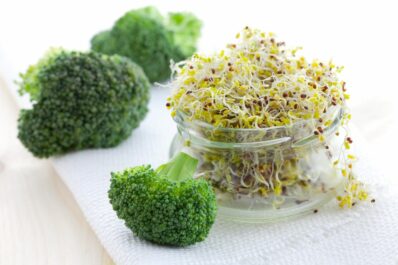 Brokkoli-Sprossen: Anleitung zum Keimen & gesundheitliche Vorteile