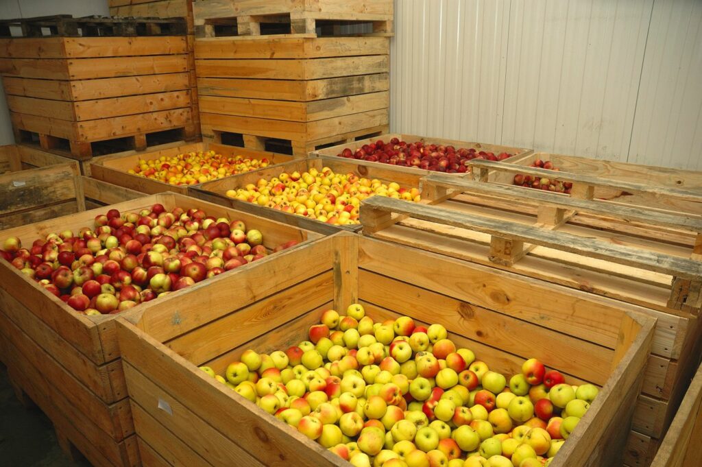 Äpfel in Holzkisten