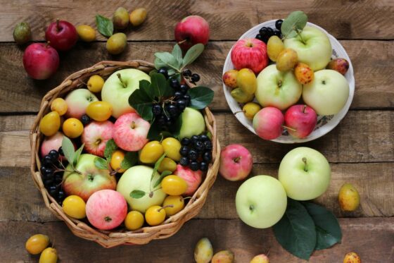 Saisonkalender für Obst: Wann hat welches Obst Saison?