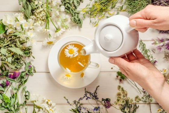 Kräuter gegen Erkältung: Wohltuende Heilkräuter aus dem Garten