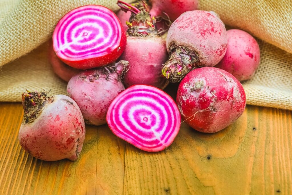 Ringelbete 'Tonda di Chioggia'