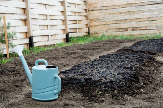 Kompostbeet anlegen & bepflanzen: So klappt‘s