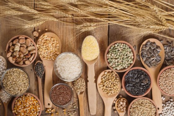 Bio-Saatgut: Erklärung & Vorteile von Bio-Samen