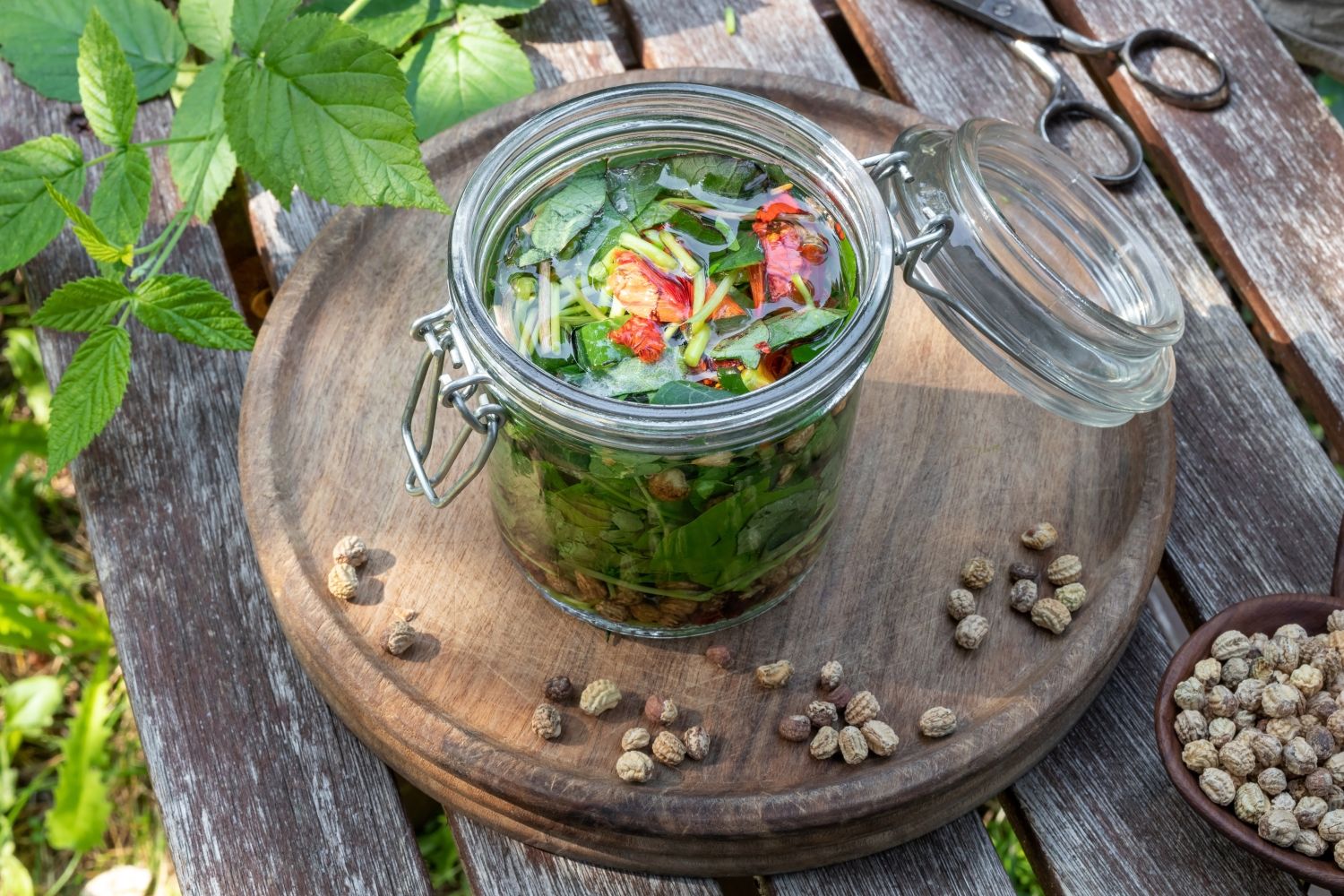 Kapuzinerkresse ernten & essen Plantura