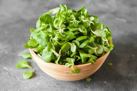 Feldsalat ernten, lagern & zubereiten