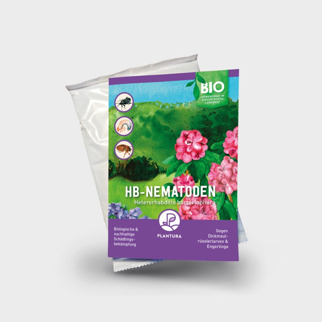 Plantura Magazin Nachhaltiges Gärtnern für alle