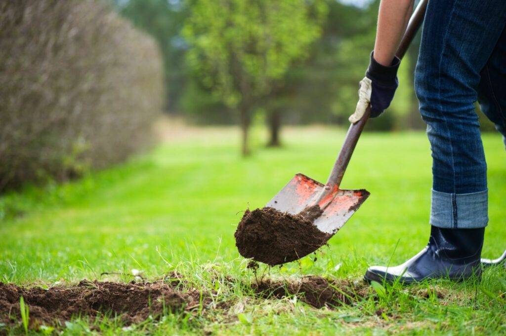 Dig the planting hole