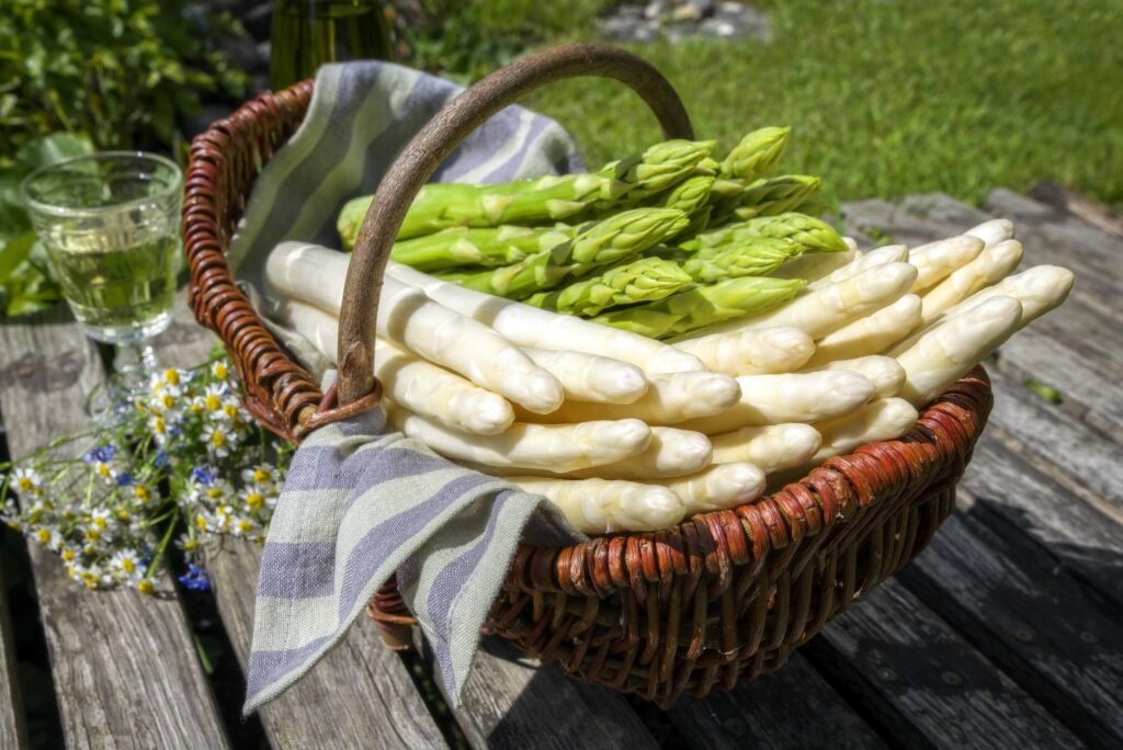 weißer und grüner Spargel