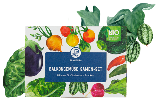 Bio-Balkongemüse Samen-Set mit 8 Sorten