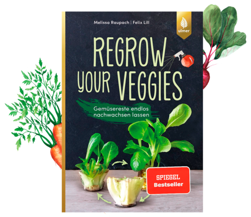 Buchvorstellung „Regrow your Veggies“ - Plantura