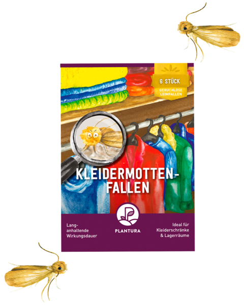 Kleidermotten-Fallen 6 Stück