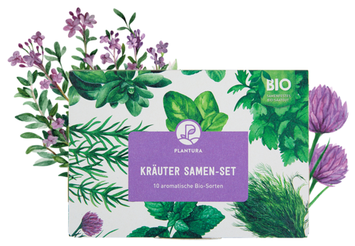 Bio-Kräuter Samen-Set mit 10 Sorten