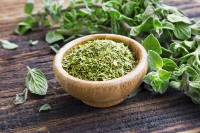 Oregano ernten, haltbar machen & verwenden
