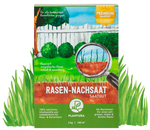 Rasen-Nachsaat 2 kg