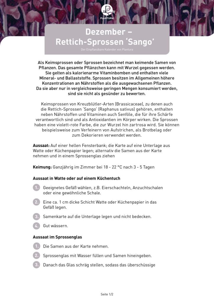 Gartenjahr-Grundkurs-im-Dezember