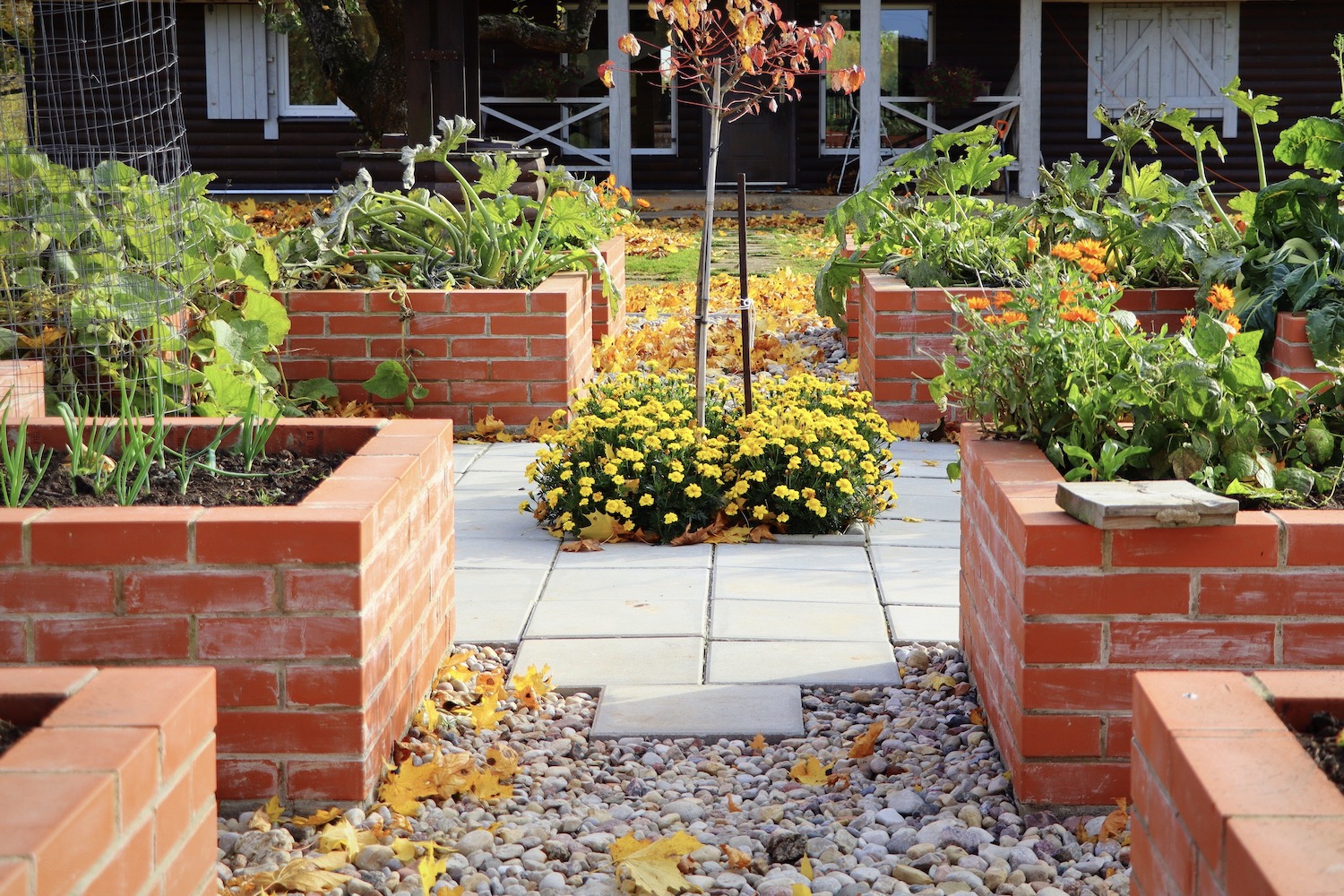 Hochbeet im Herbst bepflanzen: Welche Gemüsearten sind geeignet?