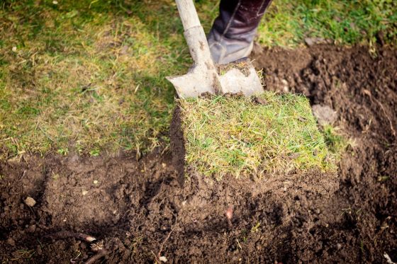 Rasen ausbessern & reparieren: Alternativen zum Rasenerneuern