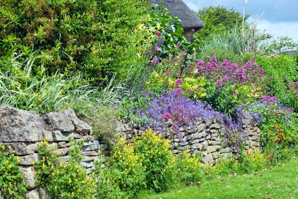 Trockensteinmauer im Garten