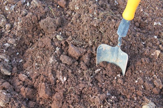 Bodenverbesserung: 7 Tipps, um den Gartenboden zu verbessern