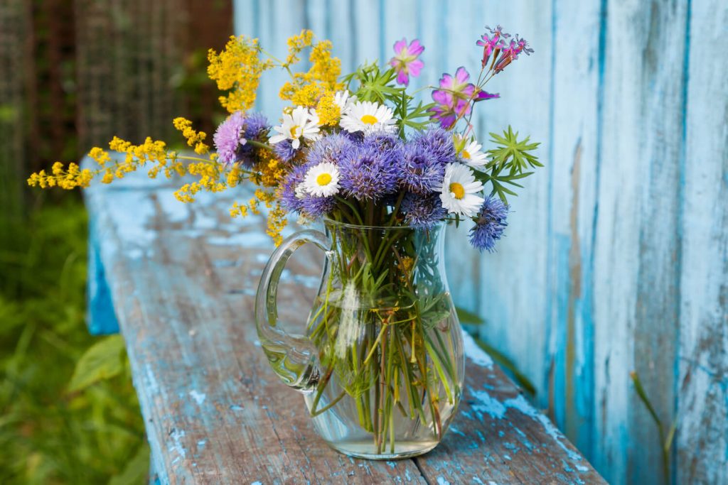 Schnittblumen in einer Vase