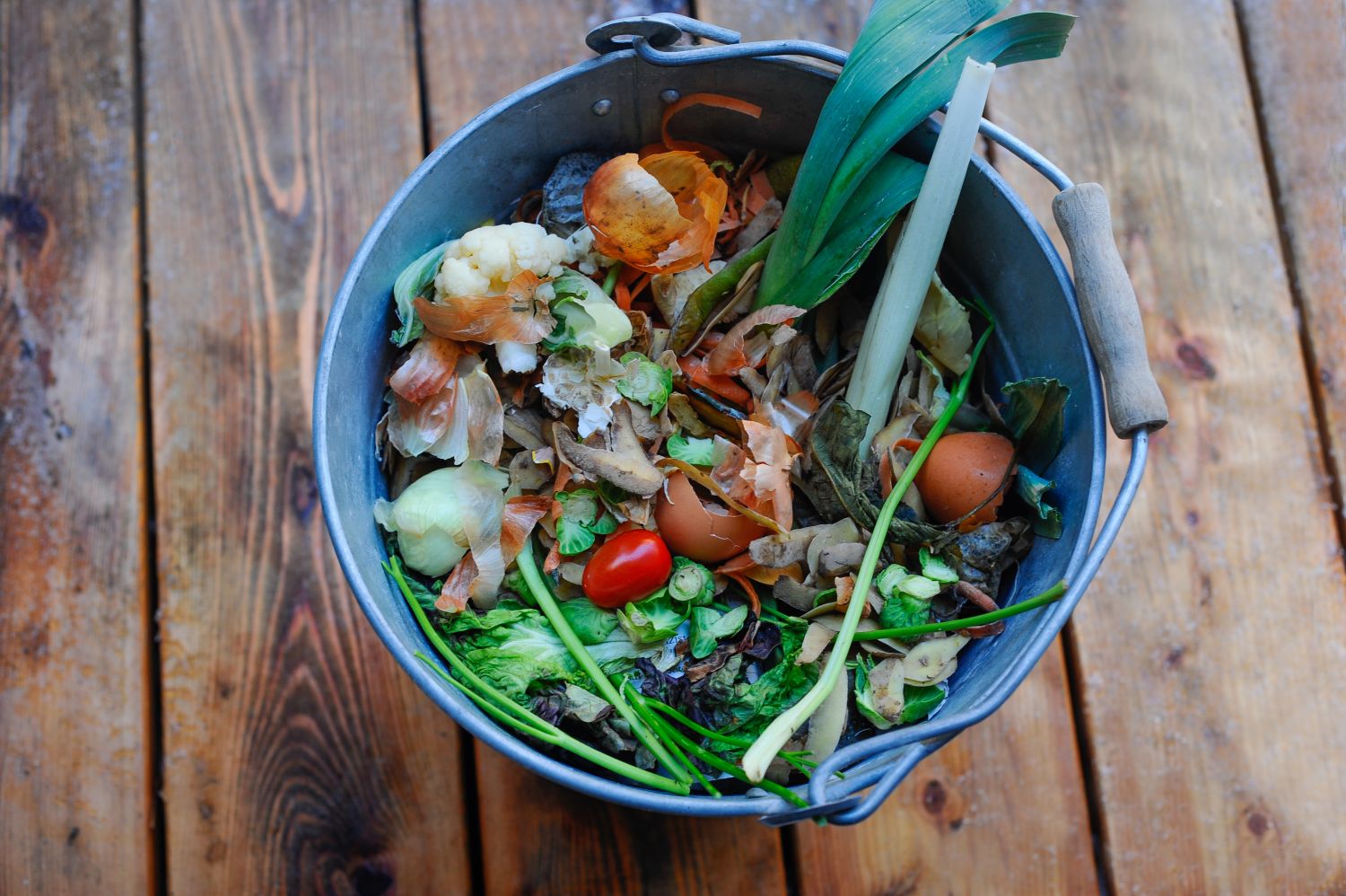 Komposteimer: Tipps zur Verwendung in der Küche - Plantura
