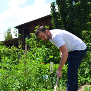 31+ Weißer Salbei Pflanze Pflege, Wählen sie hochwertiges saatgut