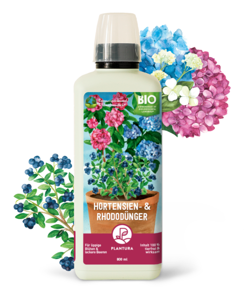 Bio-Hortensien- & Rhododendrondünger 800 ml