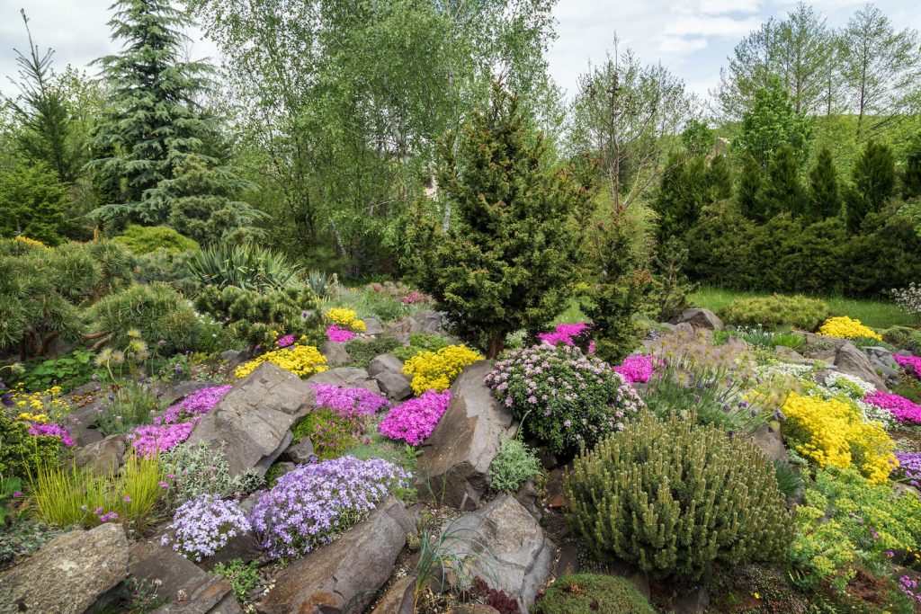 Bunte Bodendecker im Steingarten