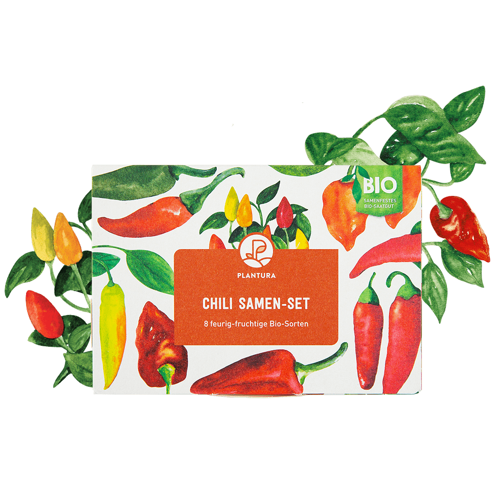 Bio-Chili Samen-Set mit 8 Sorten