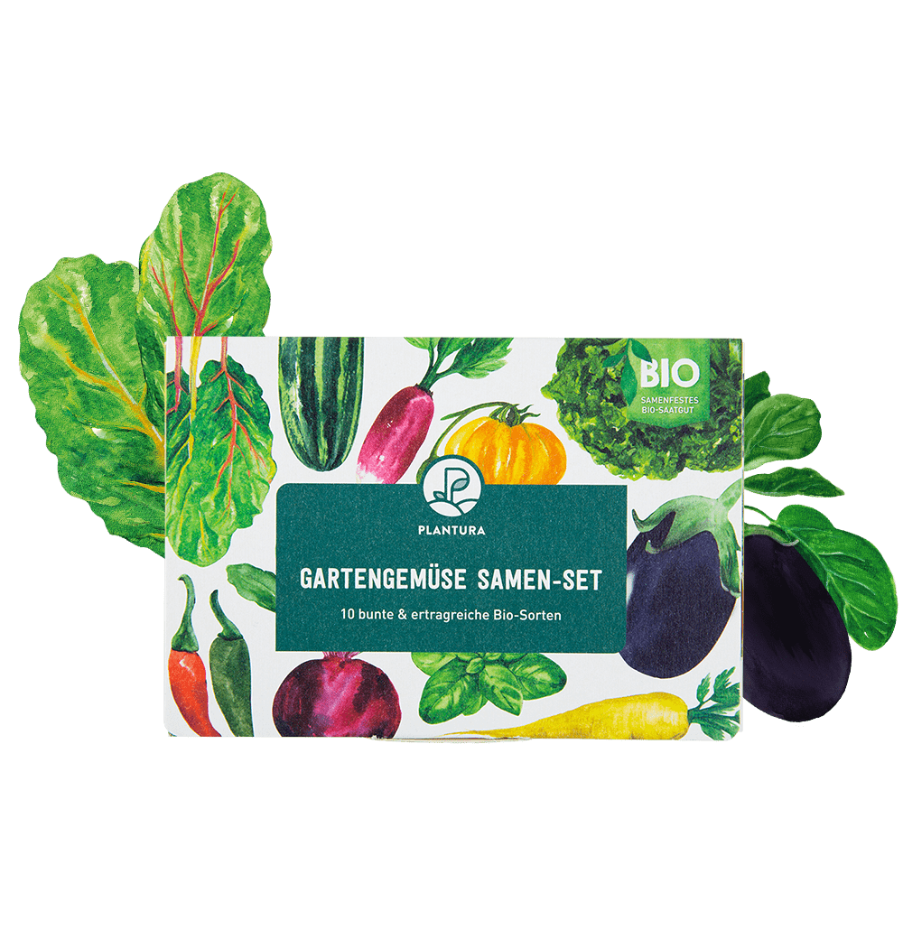 Bio-Gartengemüse Samen-Set mit 10 Sorten