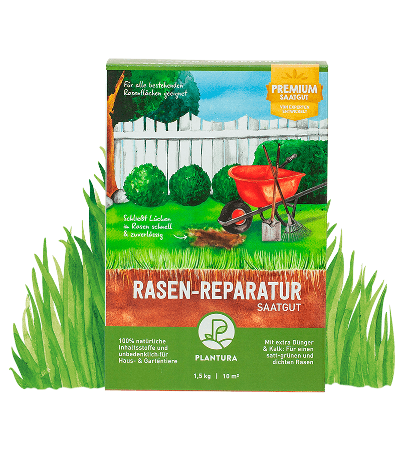 Rasen-Reparatur 1,5 kg