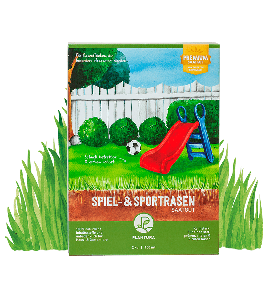 Spiel- & Sportrasen 2 kg