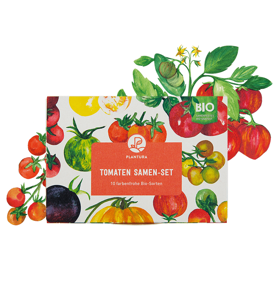 Bio-Tomaten Samen-Set mit 10 Sorten