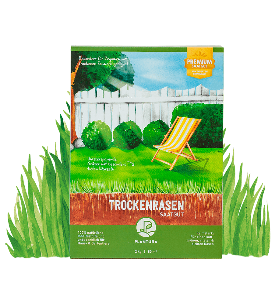 Trockenrasen 2 kg