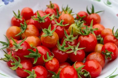 Rote Murmel: So pflanzt & pflegt man die wilde Tomate