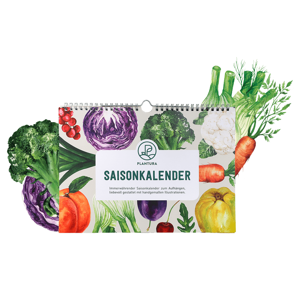 Saisonkalender für Obst & Gemüse