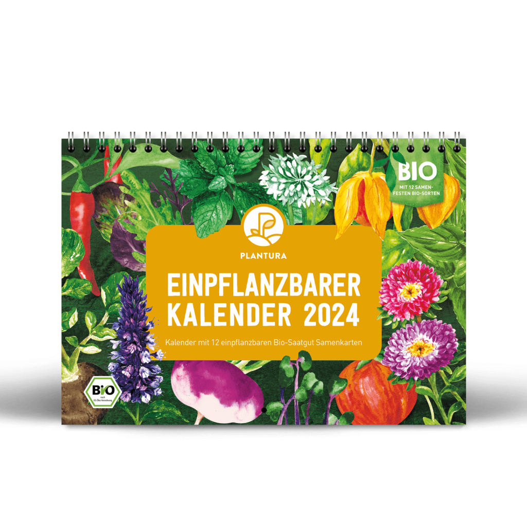 Einpflanzbarer Kalender 2024