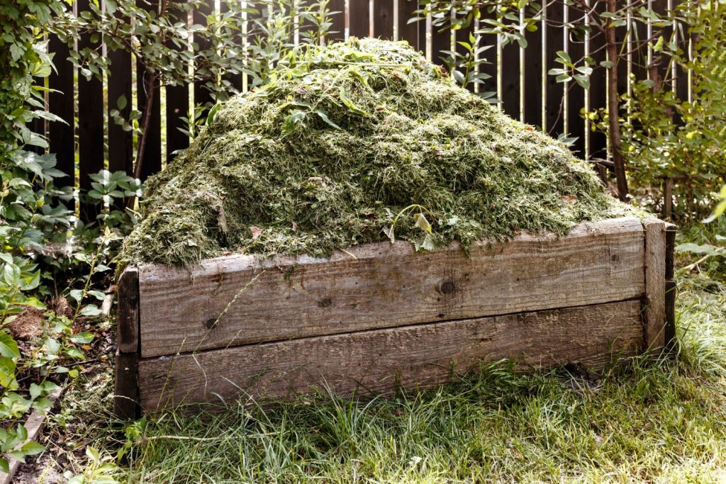 Grasschnitt auf Kompost