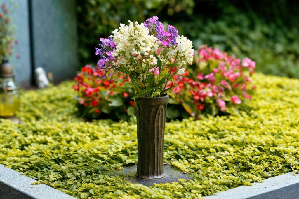 Blumen auf pflegeleichtem Grab
