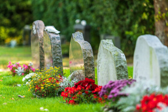 Urnengrab bepflanzen: Ideen & Beispiele für das ganze Jahr