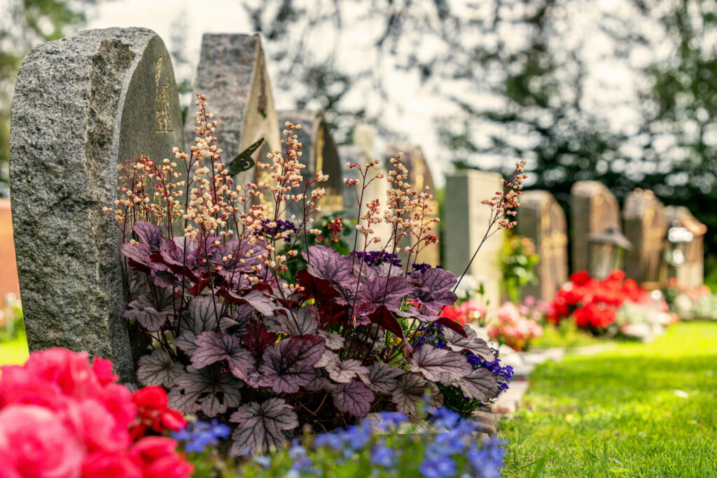 Lila Blumen auf Urnengrab