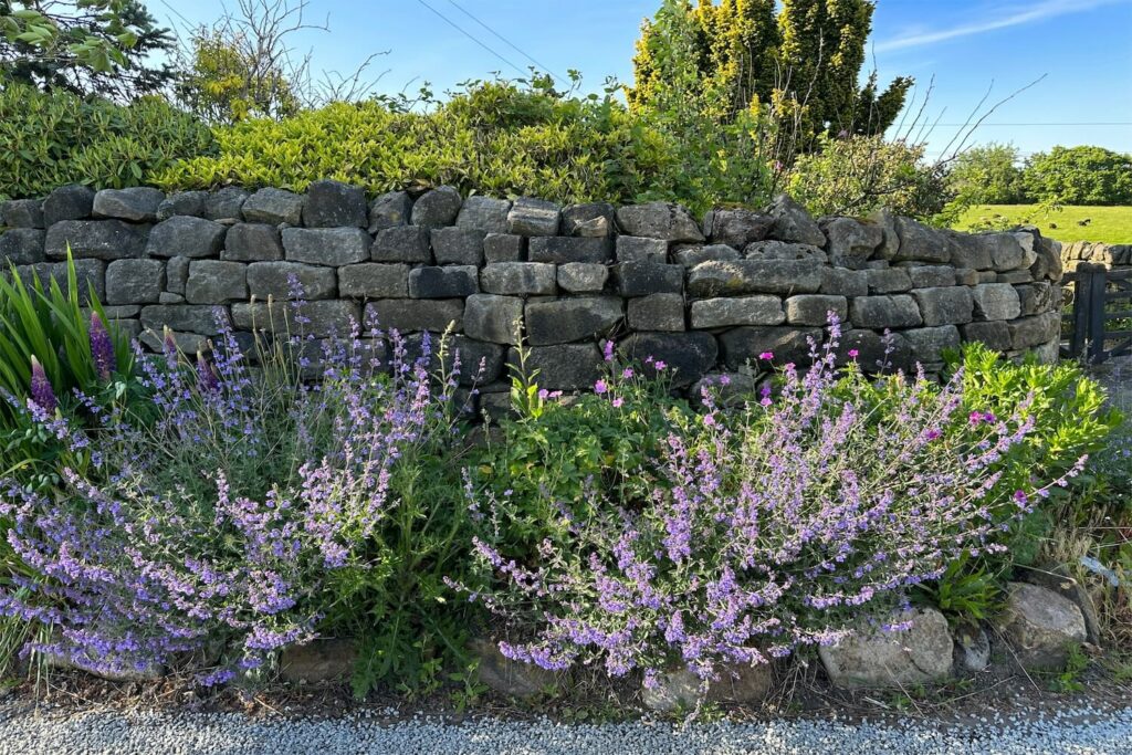 Trockensteinmauer im Garten