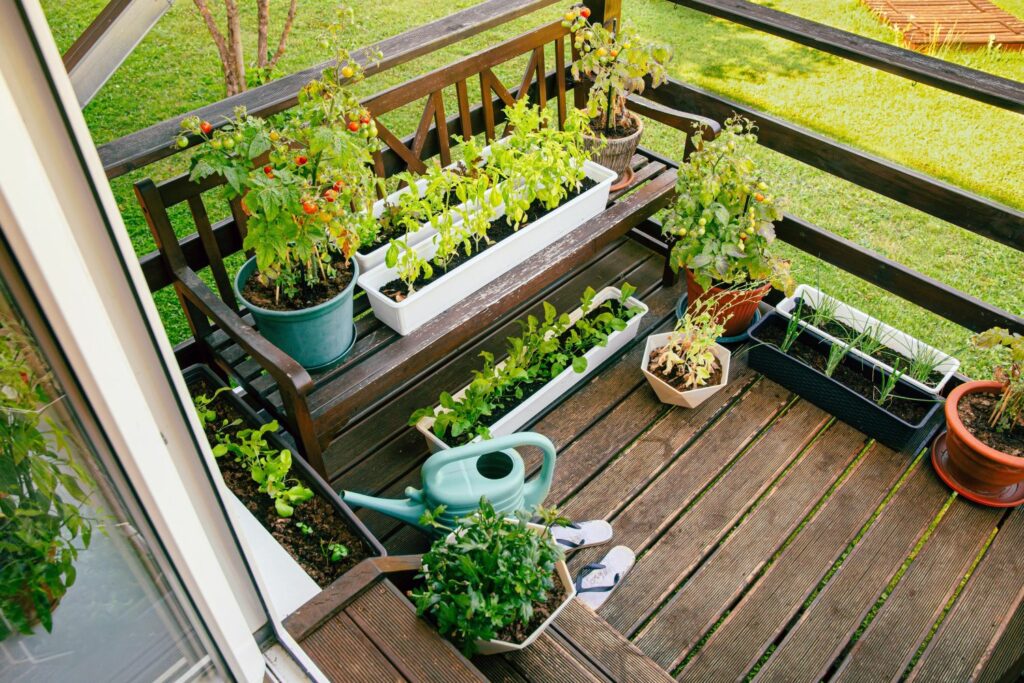 Verschiedene Gemüsepflanzen auf dem Balkon [Foto: FotoHelin/ Shutterstock.com]