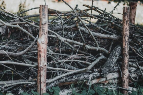 Benjeshecke: Vor- & Nachteile einer Totholzhecke im Garten