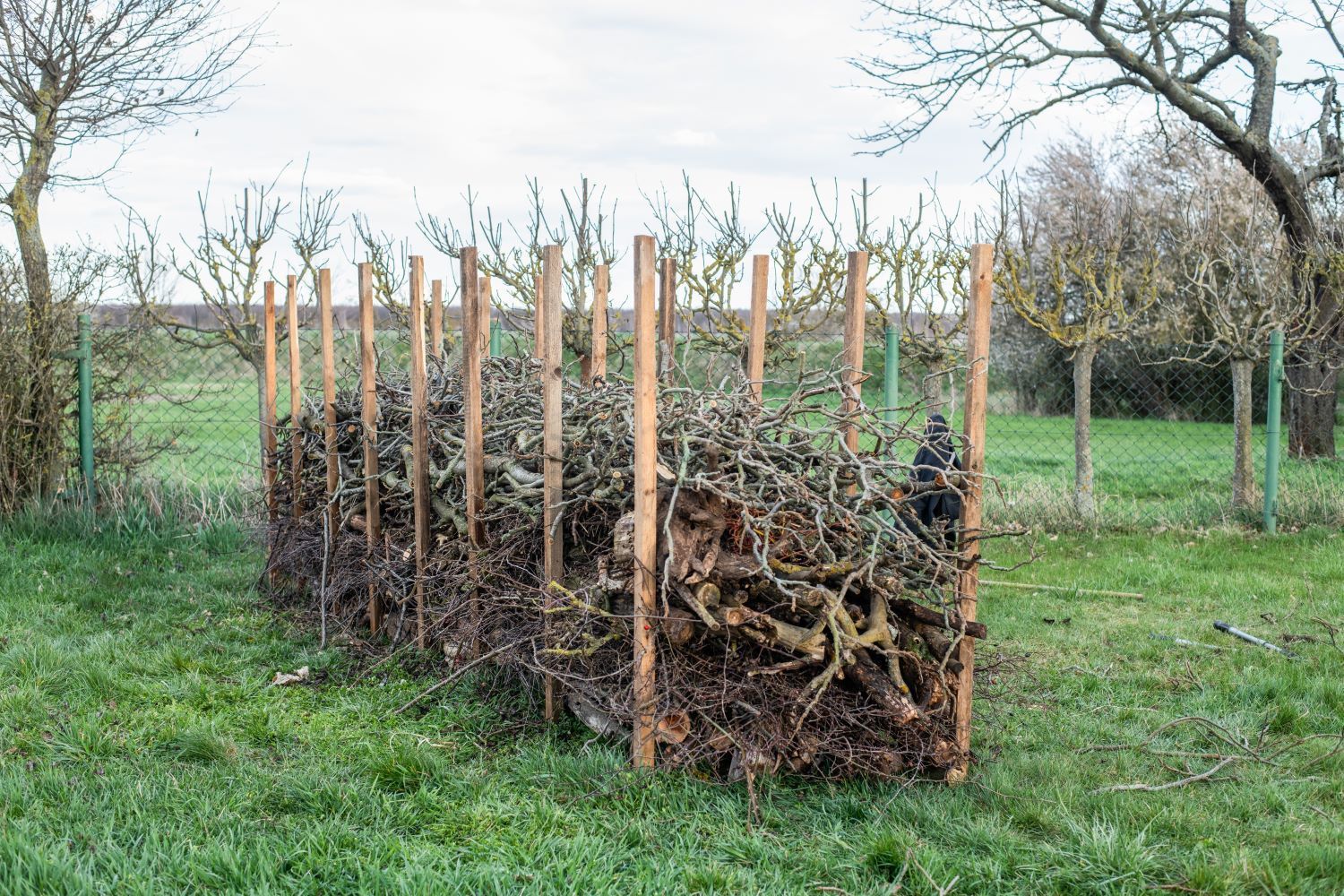 Benjeshecke anlegen & begrünen: So geht‘s