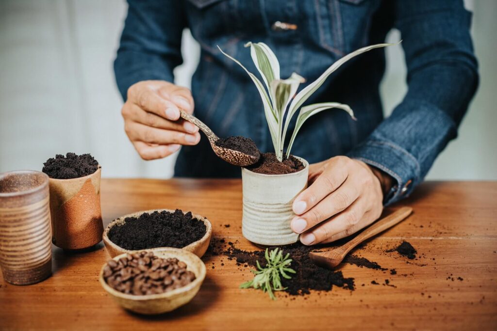 Kaffeesatz als Hausmittel gegen Fliegen in Blumenerde
