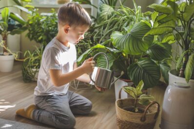 Pflanzen fürs Kinderzimmer: Vorteile und Beispiele