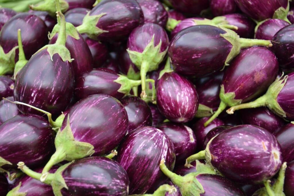 Aubergine lagern