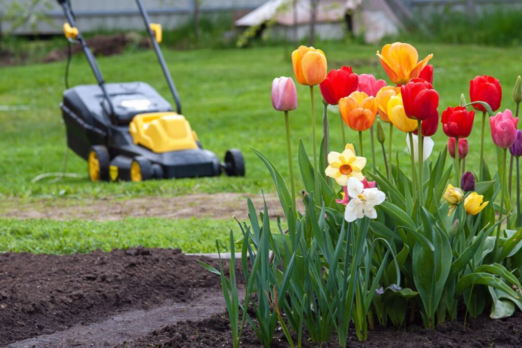 Rasen im Frühjahr